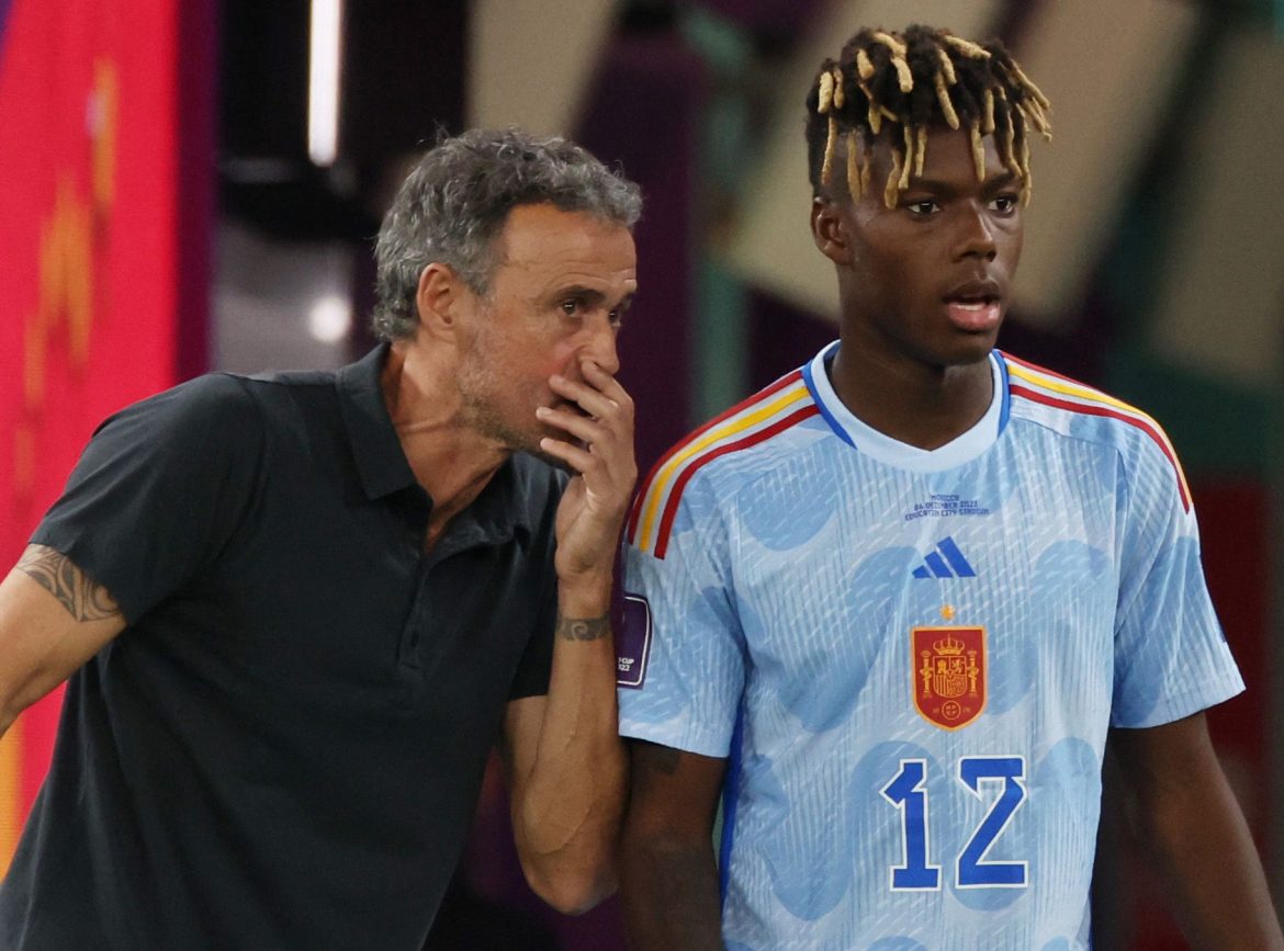 Newcastle missed out Williams in January